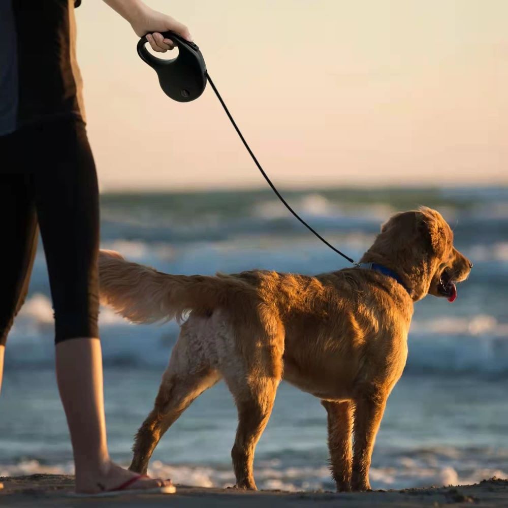 Heavy Duty Retractable Dog Leash